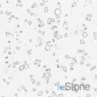 Staron Mosaic QD212 (Dalmatian)