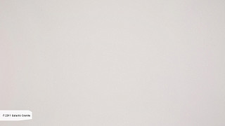 F2811 Galactic Granite