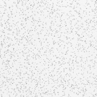 QD212 Dalmatian