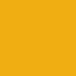P198 Mango