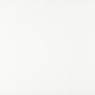 P001 Perna White