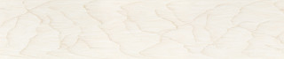 VL343 Latte Cream