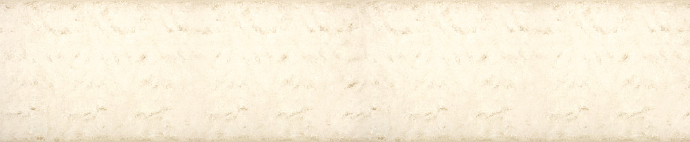 М351 Milan