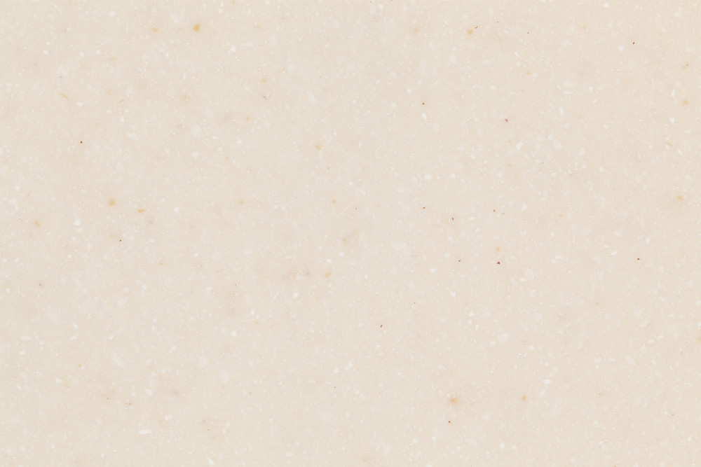 AS642 Seashell
