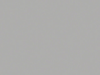 Silver Gray