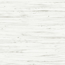 V8016 White Stream