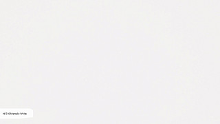 N510 Mettalic White