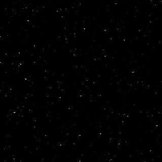 P004 Perna Black