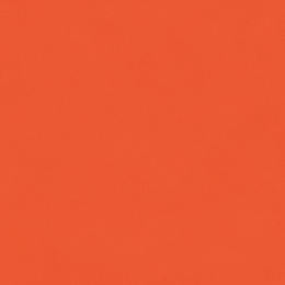 DM6004 Energy Orange