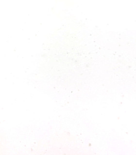 G077 Jewelry Granite