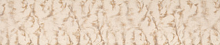 VD173 Desert Wind