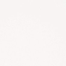N010 White