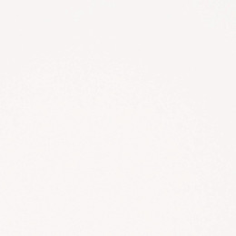 N010 White