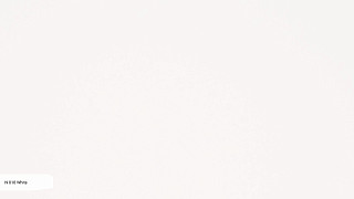N010 White