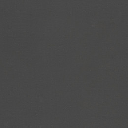 P110 Iron