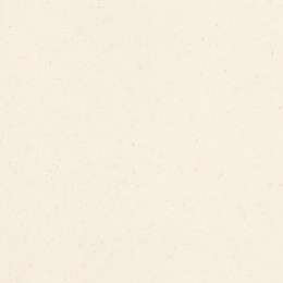 AS642 Seashell