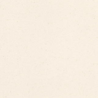 AS642 Seashell