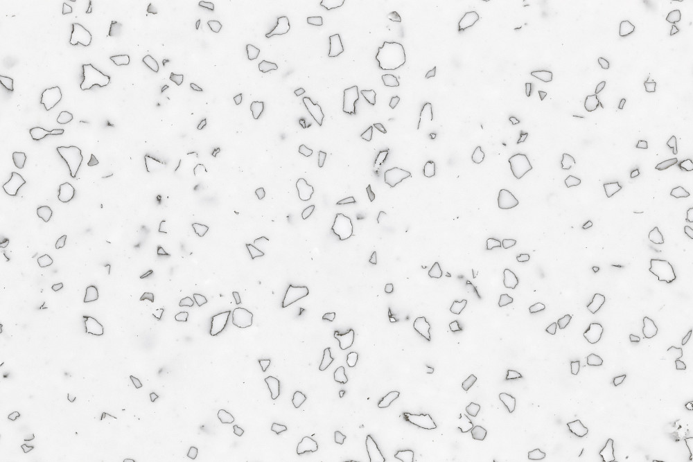 QD212 Dalmatian