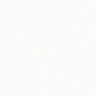 S006 Arctic White